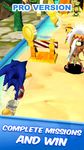 Pro Blue Hedgehog - Ultimate Adventure image 