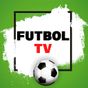 Futbol TV apk icon