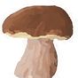 Mushroomizer Icon