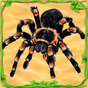 Иконка Spider Simulator: Life of Spider