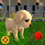 Biểu tượng apk Virtual Pet Puppy 3D - Family Home Dog Care Game