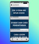 Gambar Cek e-FORM BRI - Cara Cek Penerima BPUM UMKM 9