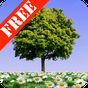 APK-иконка Summer Trees Free