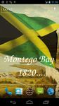 3D Jamaica Flag Live Wallpaper screenshot apk 6