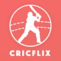 CricFlix: Live Scores, Cricket News & Scorecard