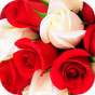 Biểu tượng Roses Stickers for WhatsApp WAStickerApps Flowers