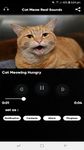 Tangkap skrin apk Cat Meow Real Sounds 1