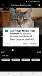 Tangkap skrin apk Cat Meow Real Sounds 2