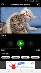 Tangkap skrin apk Cat Meow Real Sounds 6