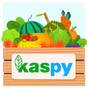 Kaspy