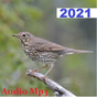 Song Thrush APK