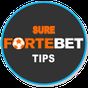 SURE WINS OF FORTEBETS. APK