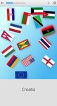 Tangkapan layar apk Flags On the Globe 4