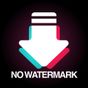 TTDownloader-No Watermark APK
