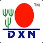 Dxn e-world app apk icono