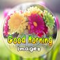 Good Morning Images & Quotes APK