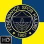 4K HD Fenerbahçe Duvar Kağıtları APK