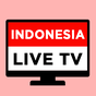 TV Live Indonesia Online APK