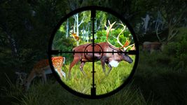 Wild Animal Shooting Games εικόνα 13