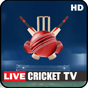 Icoană apk Live Cricket Tv  Mathes