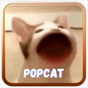 ไอคอน APK ของ POPCAT 2021