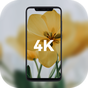 Colorful 4K Wallpapers APK