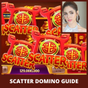 Scatter Domino Guide APK