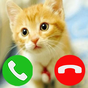 Fake Call from cat game Simulation Simgesi