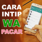 Cara Intip WA Pacar Jarak Jauh APK