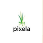 Pixela Pay APK icon