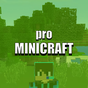 Ícone do Minicraft Pro