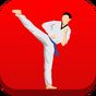 Entrenamiento de taekwondo