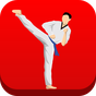 ikon Senaman Taekwondo di rumah 