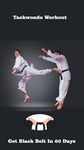 Tangkap skrin apk Senaman Taekwondo di rumah 