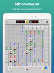 Minesweeper: puzzle game zrzut z ekranu apk 14