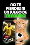 Ver Partidos en Vivo y Directo Bild 13