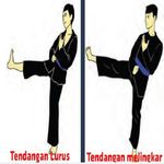 Gambar Teknik Pencak Silat 1