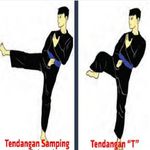 Gambar Teknik Pencak Silat 3