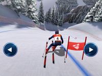 Winter Sports Mania capture d'écran apk 17