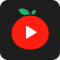 Εικονίδιο του PlayTube apk