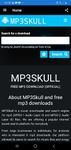 MP3 Skulls Elite image 2