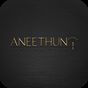 Aneethun