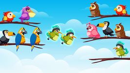 Tangkap skrin apk Bird Color Sort Puzzle Game 9