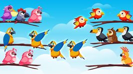 Captură de ecran Bird Color Sort Puzzle apk 12