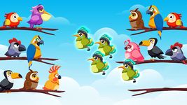 Bird Color Sort Puzzle screenshot APK 13