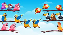 Tangkap skrin apk Bird Color Sort Puzzle Game 2