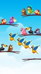 Captură de ecran Bird Color Sort Puzzle apk 6