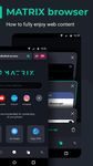 Matrix Browser - fast web surfing with ad block ảnh số 9