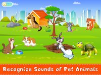 Tangkap skrin apk Animal Sounds for kid learning 13