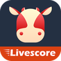 APK-иконка Calfscore-Sports Live Score
